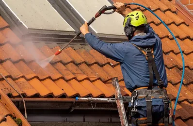 Démoussage et hydrofuge de toiture à Anglefort
